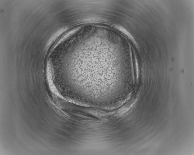 X0000077320930200611171739