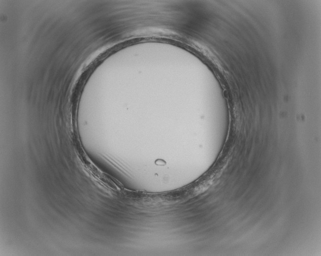 X0000077320931200611171739