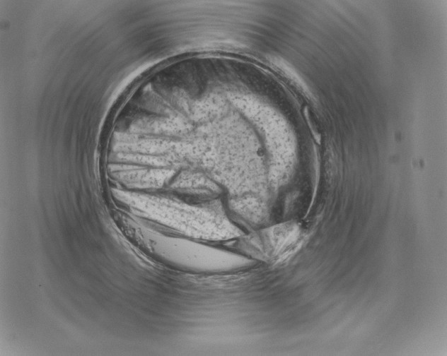 X0000077320932200611171739