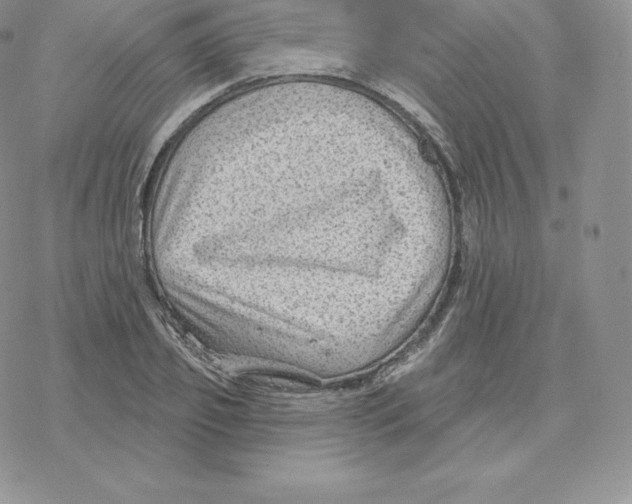 X0000077320933200611171739