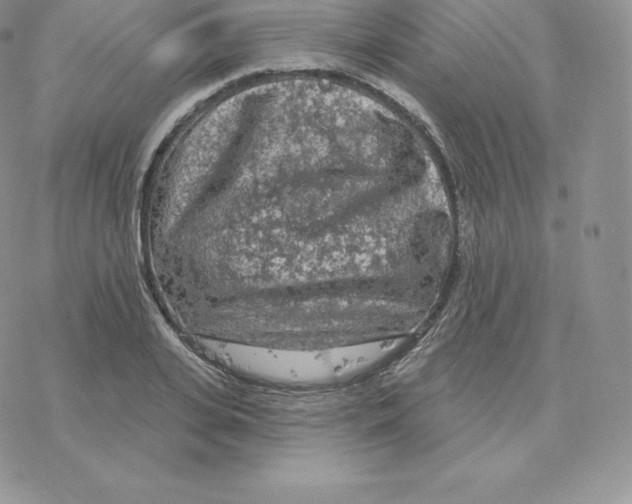 X0000077320935200611171739