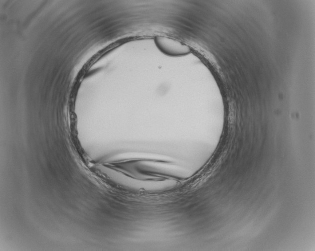 X0000077320936200611171739