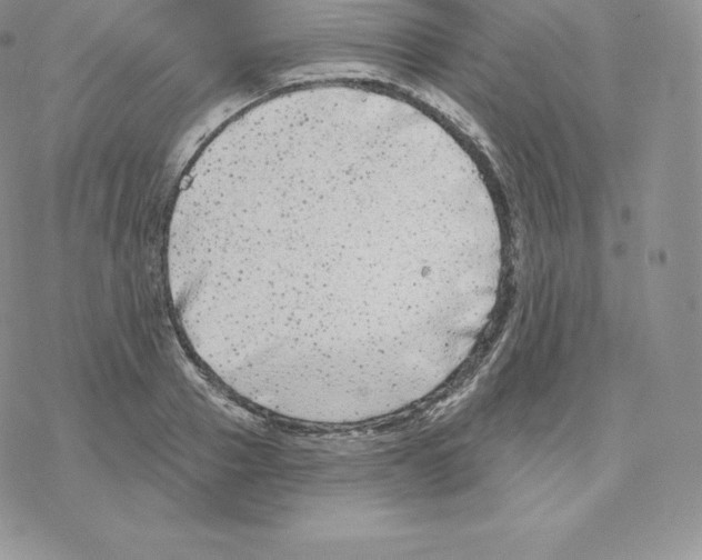 X0000077320937200611171739