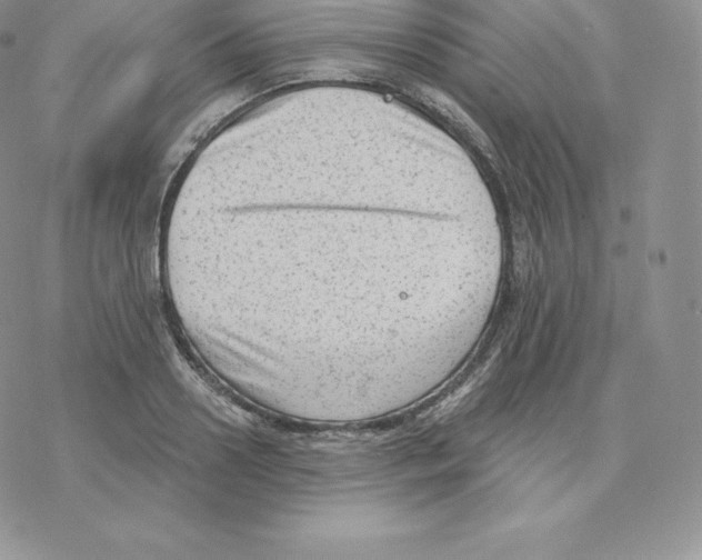 X0000077320938200611171739