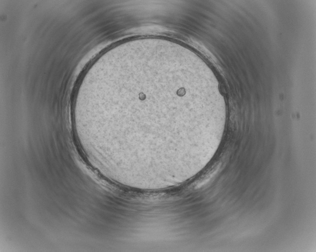 X0000077320939200611171739