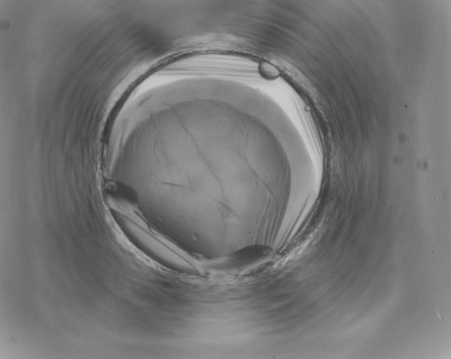 X0000077320941200611171739