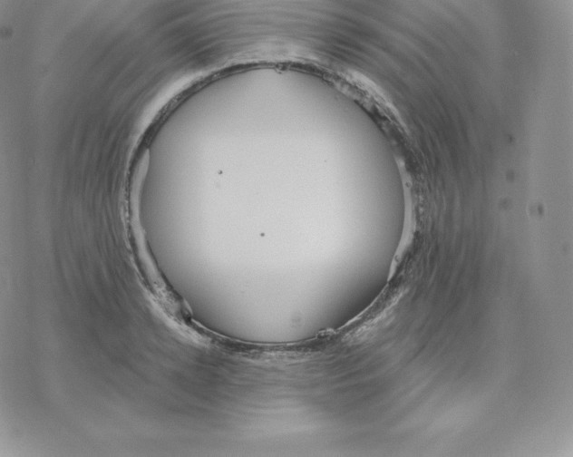 X0000077320942200611171739