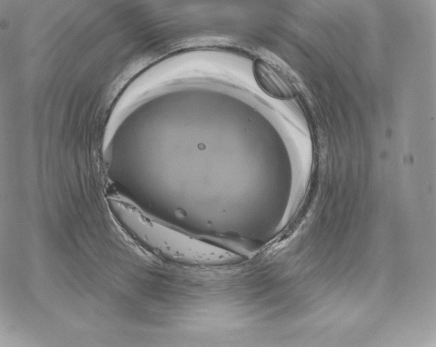 X0000077320945200611171739