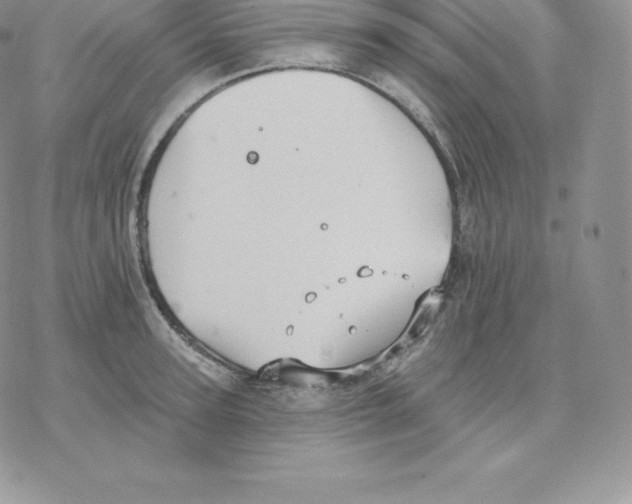 X0000077320947200611171739