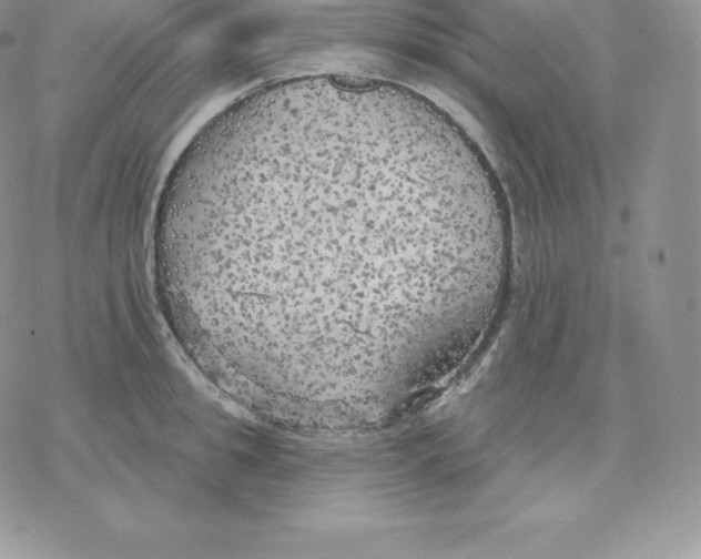 X0000077320949200611171739