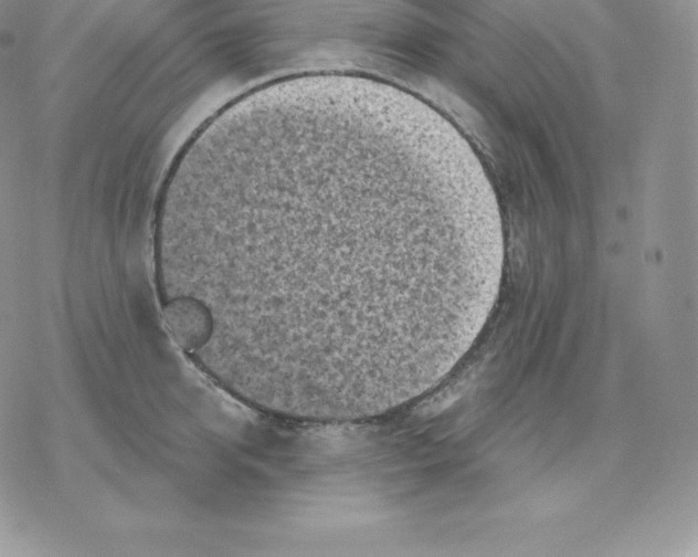 X0000077320950200611171739