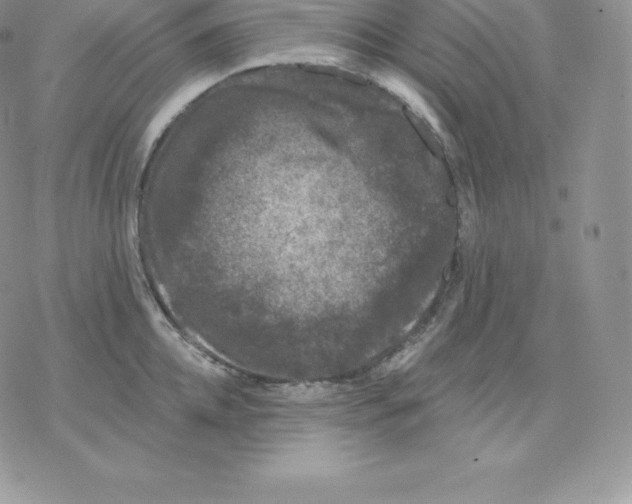 X0000077320952200611171739