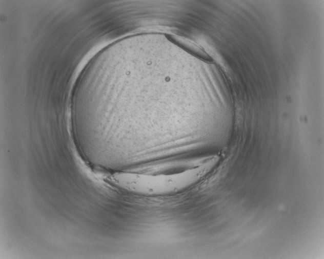 X0000077320955200611171739