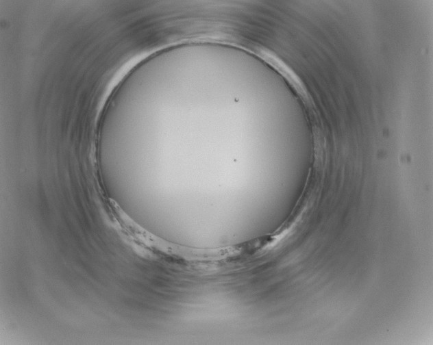 X0000077320956200611171739