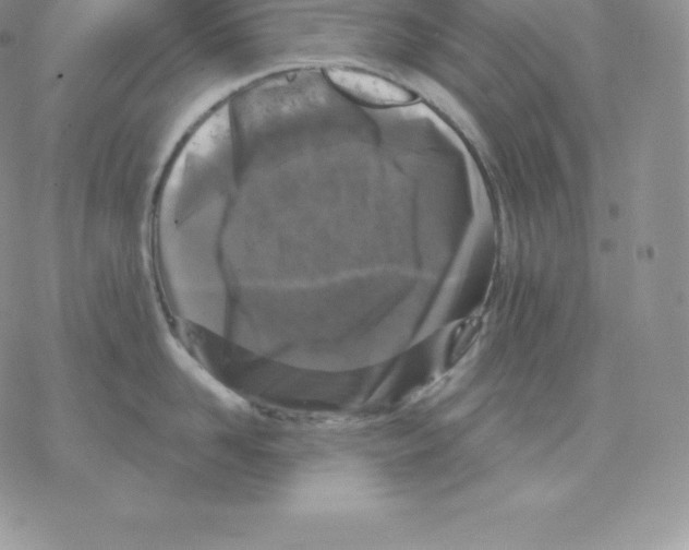 X0000077320958200611171739