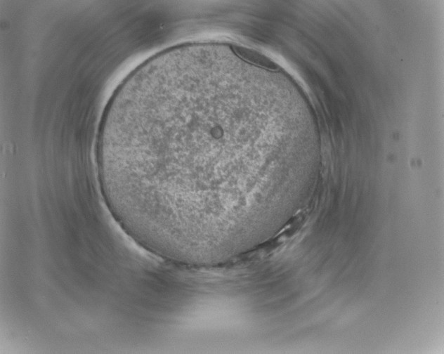 X0000077320959200611171739