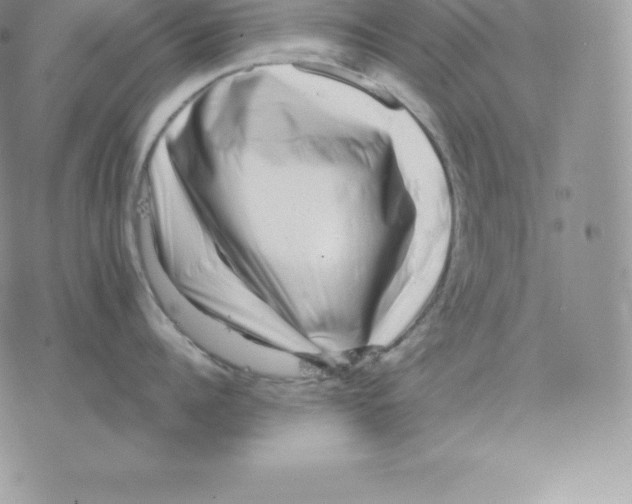 X0000077320960200611171739