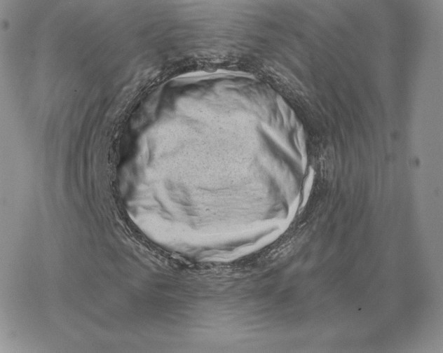 X0000077320961200611171738