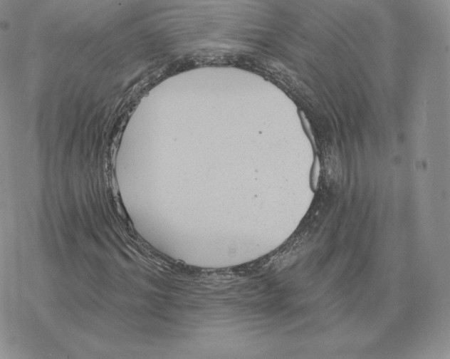 X0000077320964200611171738