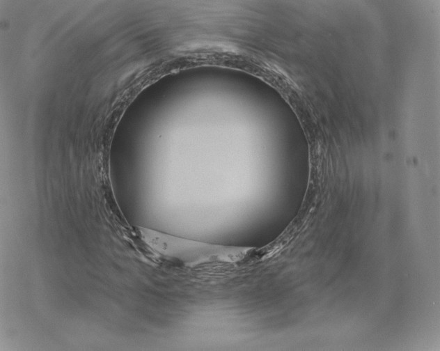 X0000077320965200611171738