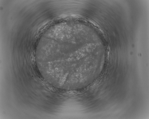 X0000077320966200611171738