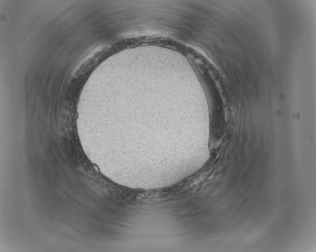 X0000077320967200611171738