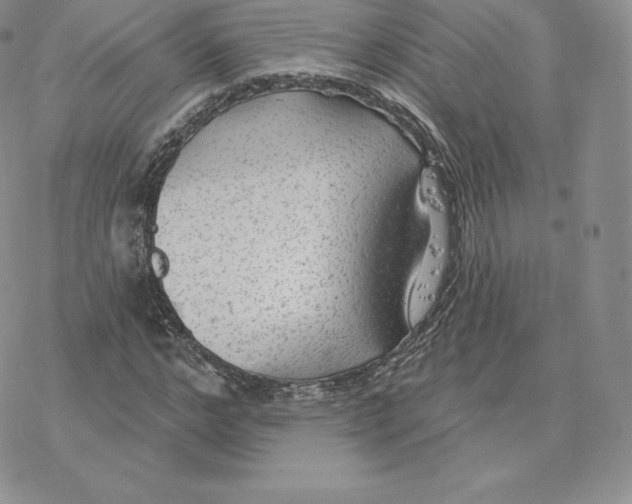 X0000077320968200611171738