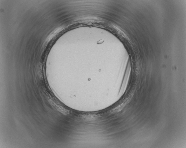 X0000077320970200611171738