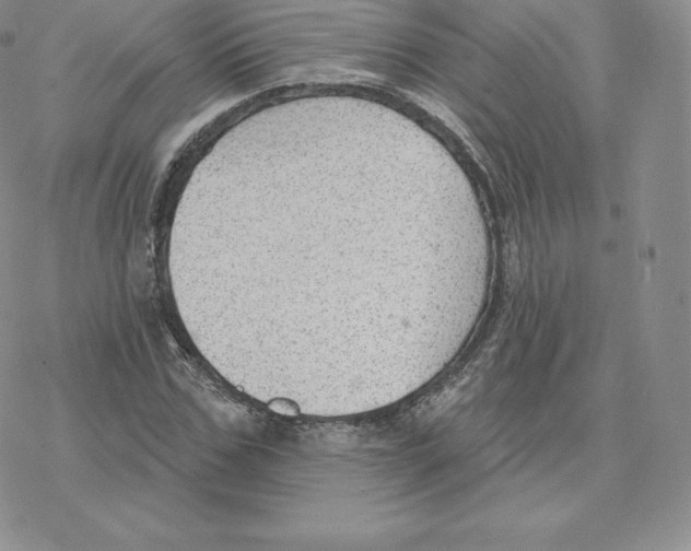 X0000077320971200611171738