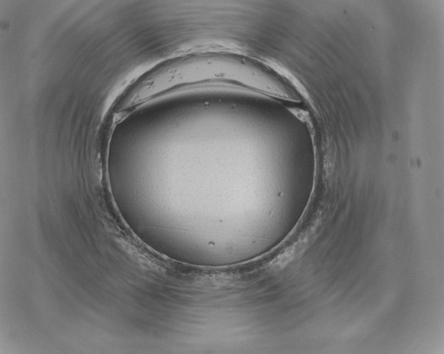 X0000077320973200611171738