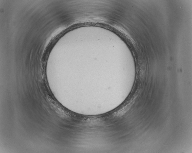 X0000077320974200611171738