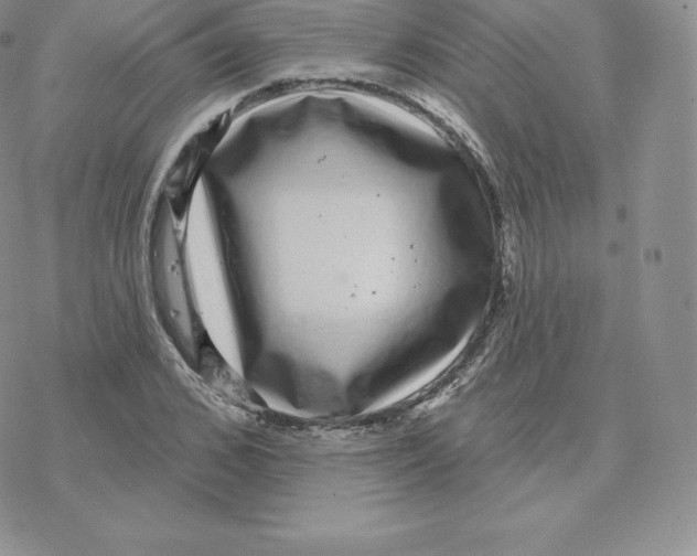 X0000077320976200611171738