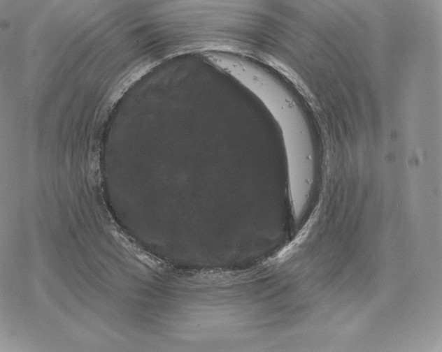 X0000077320977200611171738