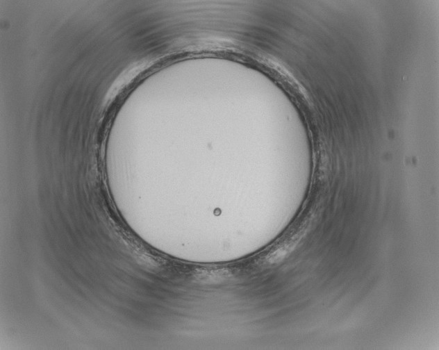 X0000077320978200611171738