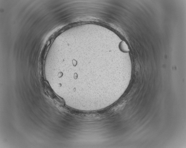 X0000077320979200611171738