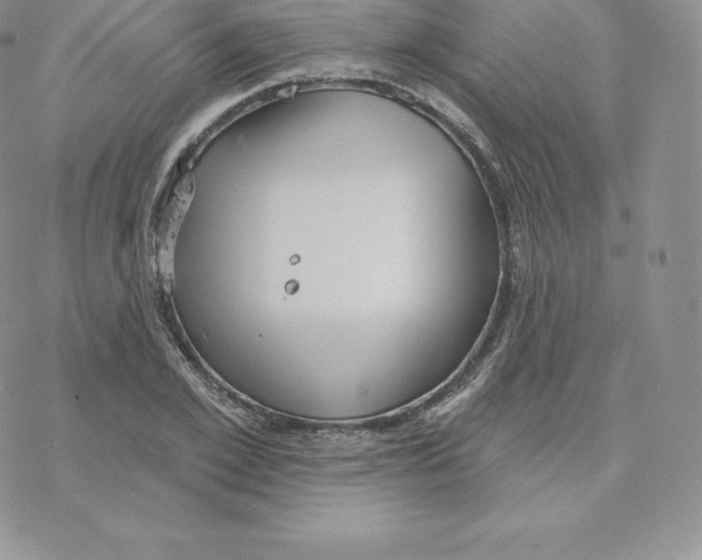 X0000077320981200611171738