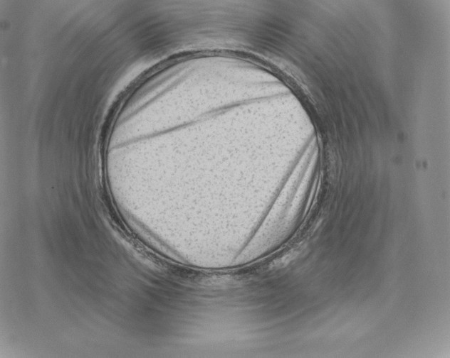 X0000077320982200611171738