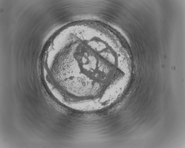 X0000077320983200611171738