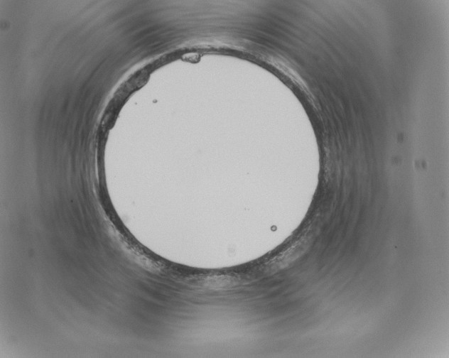 X0000077320984200611171738