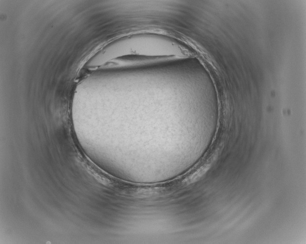 X0000077320985200611171738