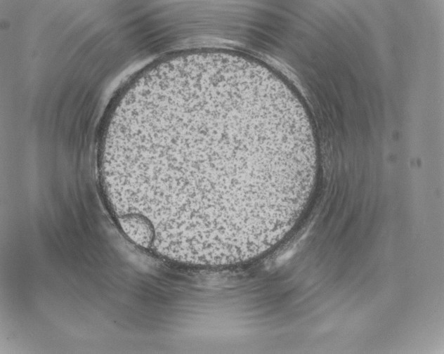 X0000077320987200611171738