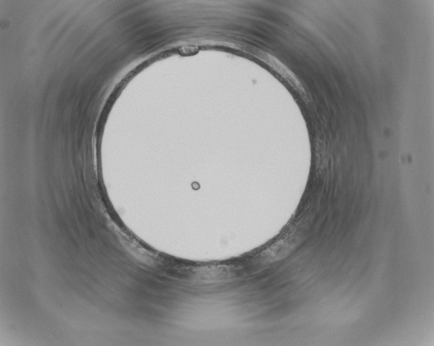 X0000077320988200611171738