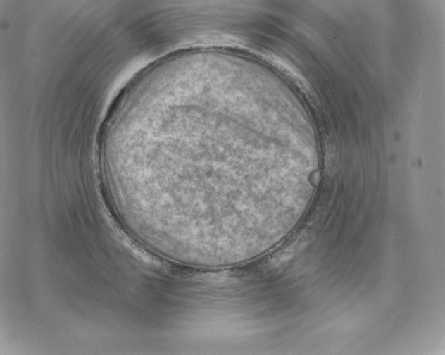 X0000077320990200611171738