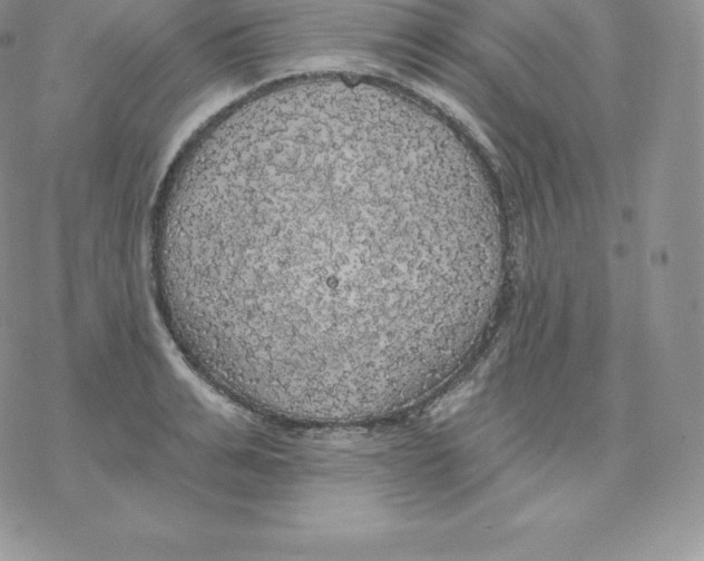 X0000077320991200611171738