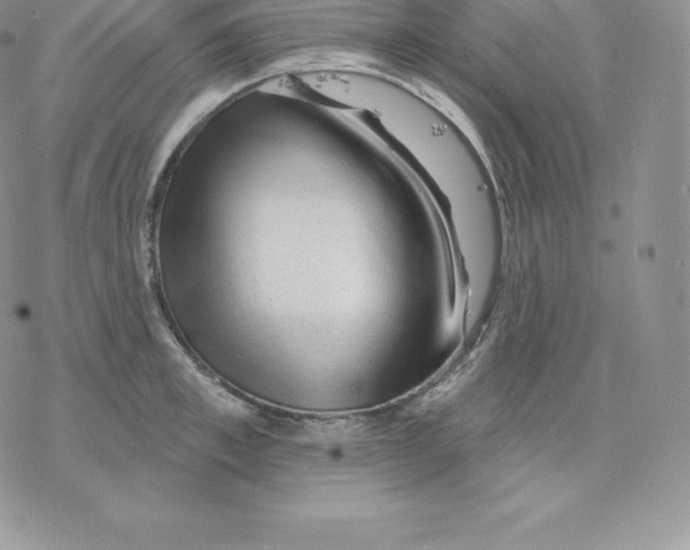 X0000077320997200611171738