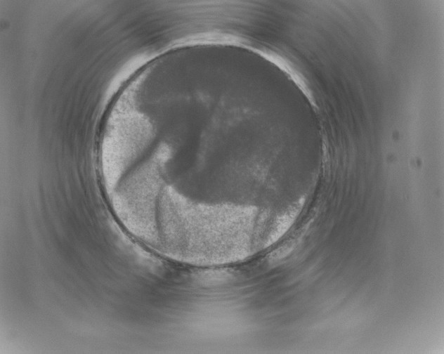 X0000077320998200611171738