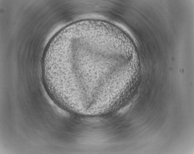 X0000077320999200611171738