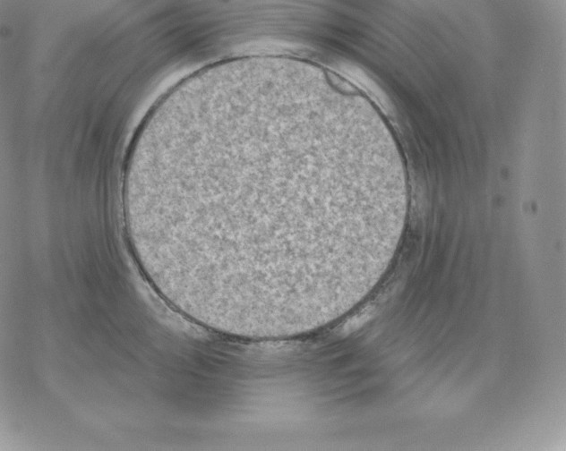 X0000077321000200611171738