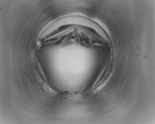 X0000077321001200611171738