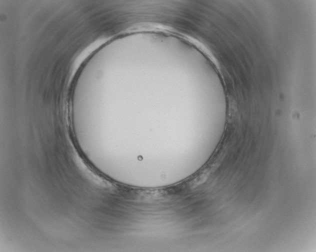 X0000077321003200611171738